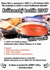 Krškanský kotlík 2017
